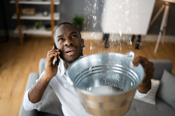 Best Flood restoration services  in Parkston, SD