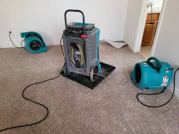 Best Residential water damage restoration  in Parkston, SD
