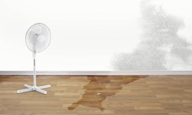 Best Carpet water damage restoration  in Parkston, SD
