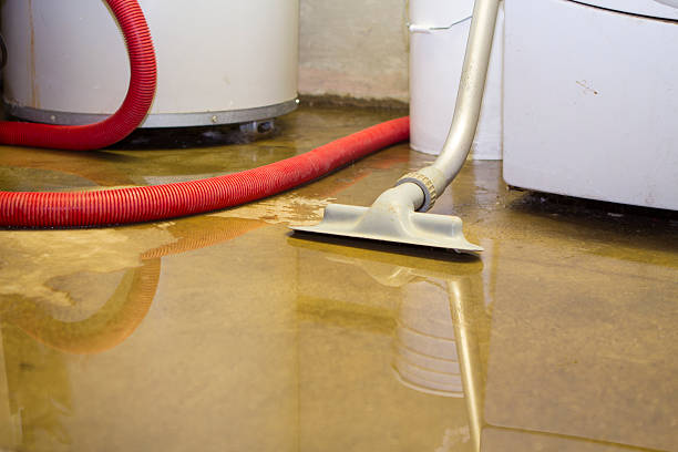 Best Flood damage cleanup  in Parkston, SD