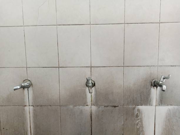 Best Flood damage cleanup  in Parkston, SD