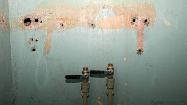 Reliable SD Water damage restoration Solutions