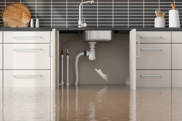 Best Professional water damage repair  in Parkston, SD