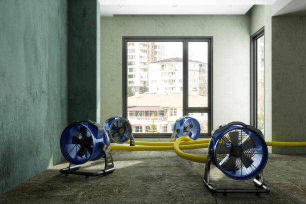 Best Water damage restoration near me  in Parkston, SD